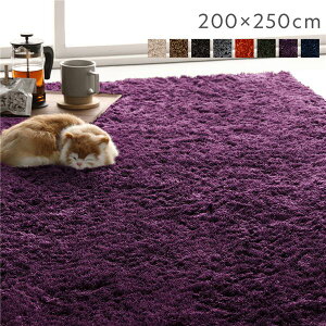 【送料無料】ラグマット 絨毯 約200×250cm 約3畳 パープル 長方形 洗える 洗濯機対応 滑り止め付き 軽量 持ち運び便利 ホットカーペット対応 オールシーズン対応 折りたたみ収納可 シャギーラ