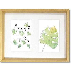 ���[�p���[ �i�`�������G�݃A�[�g�t���[�� �uMonstera�v