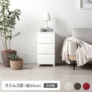 yz^X X 3i 34cm AC{[ vX`bN rt t |ȒP tbgdl { Y zRɂ `FXg ߗގ[  ߗރP[X ߗރ{b