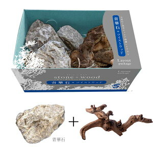 (まとめ) レイアウトパッケージ 青華石+ツイストウッド 【×2セット】 観賞魚用品