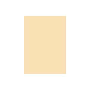 (Ɩp2Zbg) kz J[y[p[/TCNRs[p yB5 500×5z { AC{[