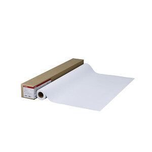 �L���m�� �����R�[�g��HG LFM-CPH/36/145 1�{��
