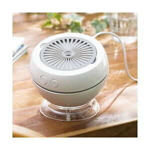 A}fBt[U[ GAivX 4352-063