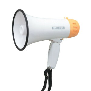 RpNg g 񒼌a13.8×21.6cm őóF5bg qt nhKz2 wZs Cxg ً} ЊQ