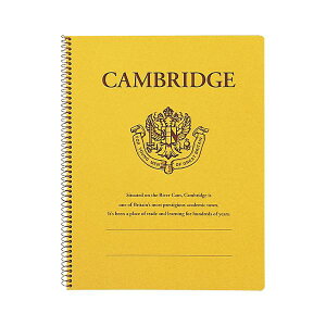 i܂Ƃ߁j LNgEEA\VGCc XvOm[g PubW P903 1 y×10Zbgz