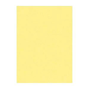 i܂Ƃ߁j ^ j[J[R lc 392×c542mm 4NCR-101 N[ 100 y×2Zbgz