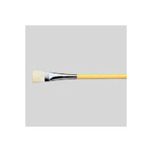 i܂Ƃ߁j TNNpX fUCM M qtf6i6j 1{ y×5Zbgz