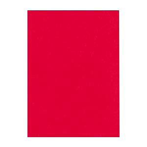 �i�܂Ƃ߁j ���^�� �j���[�J���[R �S�� ��788×�c1091mm 10-317 ���� 10���� �y×2�Z�b�g�z