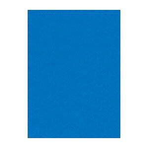 �i�܂Ƃ߁j ���^�� �j���[�J���[R �S�� ��788×�c1091mm 10-239 ���� 10���� �y×2�Z�b�g�z