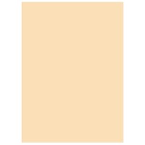 (業務用5セット) 北越製紙 カラーペーパー/リサイクルコピー用紙 【A5 500枚×10冊】 日本製 アイボリー：ワールドデポ