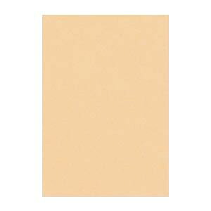 i܂Ƃ߁j ^ j[J[R c 271×c392mm 8NCR-111 炿 100 y×2Zbgz