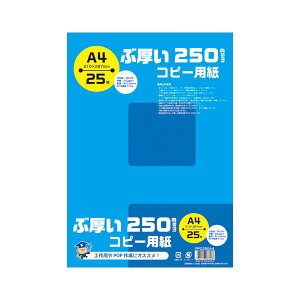 i܂Ƃ߁j LNgEEA\VGCc ԌRs[p A4 250gsm y×10Zbgz