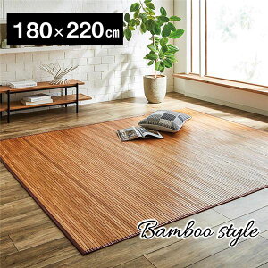 �|���O/���O�}�b�g �y��180×220cm ���C�g�u���E���z ���n ���R�f�� ��v �Ђ��� �Џ@�| �牺�g�p �o���u�[ �k���r���O�l�y����s�z