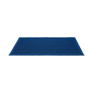 �N���[���e�b�N�X�E�W���p�����փ}�b�g �E�H�[�^�[�z�[�XT 62×88cm NV �l�C�r�[