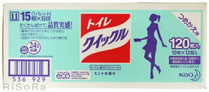 y120zԉ gCNCbN Ɩp 10×12pbN l֗p gC| EFbgV[g | Kao