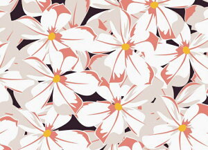 ]ʃV[g Feuilles Transferts fR[V R[eBO@`R@ XC[c peBVG P[L ① N[ TCY 40X25cm AEt[EhE| 25