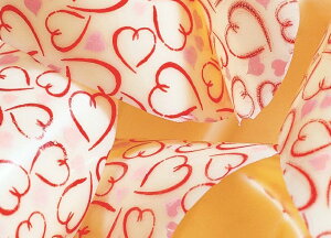 ]ʃV[g Feuilles Transferts fR[V R[eBO@`R@ XC[c peBVG P[L ① N[ TCY 40X25cm A[ 25