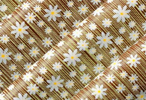 ]ʃV[g Feuilles Transferts fR[V R[eBO@`R@ XC[c peBVG P[L ① N[ TCY 40X25cm W_ 125