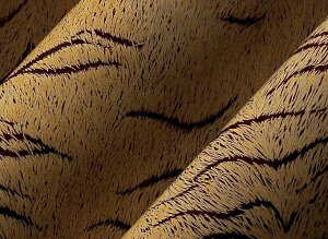 ]ʃV[g Feuilles Transferts fR[V R[eBO@`R@ XC[c peBVG P[L ① N[ TCY 40X25cm `O 25