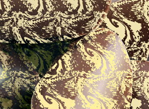 ]ʃV[g Feuilles Transferts fR[V R[eBO@`R@ XC[c peBVG P[L ① N[ TCY 40X25cm gDr 125