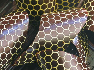 ]ʃV[g Feuilles Transferts fR[V R[eBO@`R@ XC[c peBVG P[L ① N[ TCY 40X25cm AFI FG2105 25