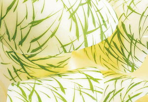 ]ʃV[g Feuilles Transferts fR[V R[eBO@`R@ XC[c peBVG P[L ① N[ TCY 40X25cm Gu ΐF B3215 25