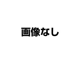 楽天市場 Oリング V 55の通販