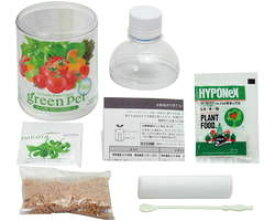 楽天市場 育てる グリーン ペット レタスの通販