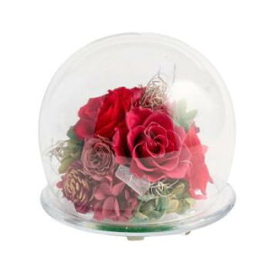 �t�����[�A�����W ROSA ���[�U RE F-6184