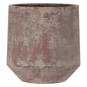 O[|bg Aؔ XN[ Eh AeB[Nbh 32cm EB-SR3234AR