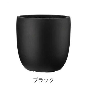 O[|bg Aؔ GCAX Eh ubN 43cm GA-2143BK