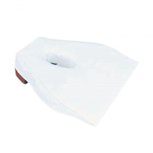 cxbh쏊 P-tFCXpȐJo[  C-22