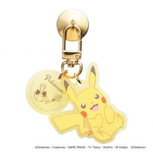 |PbgX^[ L[OnK[ sJ`E KH-PM01