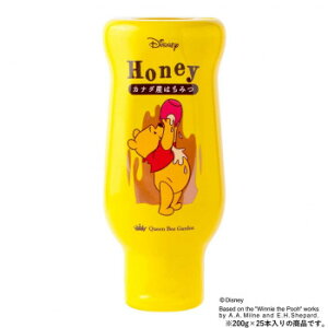 NCr[K[f fBYj[ ܂̃v[ Ji_Y݂͂ 200g×25{