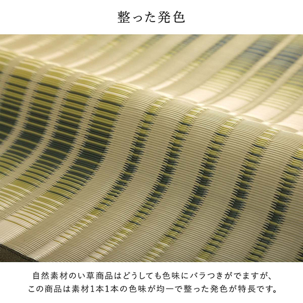 洗える ござ カーペット 本間10畳 約477.5×382cm グリーン 日本製 国産 除菌スプレー対応 丈夫 アウトドア レジャー  ペット【代引不可】 | ワールドデポ