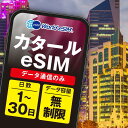 カタール ドーハ eSIM 無制限 ご利用日数 1日 3日 5日 10日 30日 SIM SIMカード プリペイドSIM データ 通信 メールで受取 一時帰国 留学 短期 出張 旅行 視察 観光 ゴルフ 医療 トランジット