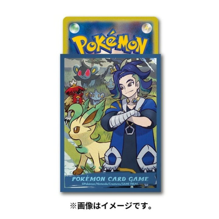 楽天市場】ポケモンセンターオリジナル ポケモンカードゲーム デッキ 