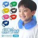 正規品 アイシングU ネッククーラー ハンズフリー クールリング 氷嚢 氷のう クールダウン アイシングユー 屋外スポー…