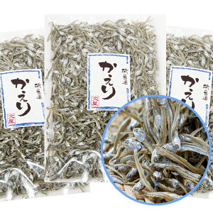  iЌ킵j 160g 3܃Zbg  |Xg LˎY H̗F Rs