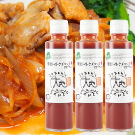 有機栽培の野菜を使用 有機トマトケチャップ 150ml 3本セット 送料無料 センナリ 有機JAS認定 大地
