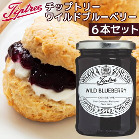 チップトリー ワイルドブルーベリー 340g 6本セット 送料無料 ジャム イギリス伝統の味