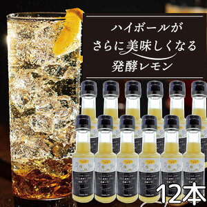 nC{[ɔȂ锭y 110g 12{Zbg  傢AW g⃈[Ogɂ 悵̖X