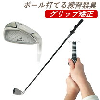 楽天市場】danact スイングトレーナーの通販