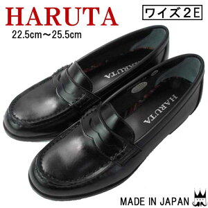 _|Cg5{ 10/10^n^ [t@[ HARUTA fB[X 4582 wC w ʊw C { ChCWp  ubN  ŋz evid