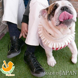 yԕizXsO[u SPINGLE MOVE Y Xj[J[ JWAV[Y U[Xj[J[ C  ubN {v v ChCWp { SPM-272