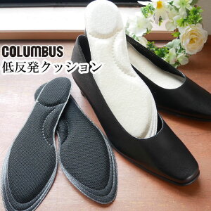 _|Cg8{ 11/1^ŋz RuX COLUMBUS fB[X t C\[ t[TCY(22.0`24.5cm) foot solution MY fit INSOLE }CtBbgC\[ ᔽNbV fB[X ~