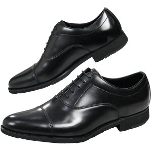 PtH[h rWlXV[Y Y ɂ vC Xg[g`bv ᓹΉ [KА ~ amC nChXgbp[ ~C Bu CY3E hXV[Y N[g t