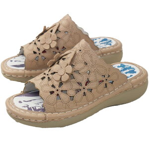 _|Cg7{ 12/1^GX^VI ŋz p`Ot[{vT_ ₷ [q[ ɂȂ fB[X U[V[Y I[vgD RtH[gT_ 