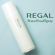 リーガル ウォータープルーフスプレー 220ml 防水スプレー 靴 お手入れ シューケアケア用品 TY27A 撥水 …