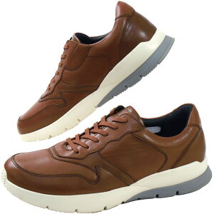 ���[�K���E�H�[�J�[ �X�j�[�J�[ ���[�J�b�g ���C�Y4E �����Y �J�W���A���V���[�Y ���L �{�v �ϊ� �y�� 351W �u���b�N �� �u���E�� �C �������� �ŋ������z�� evid